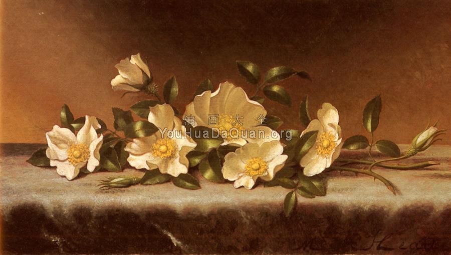 Cherokee Roses On A Light Gray Cloth - 马丁·约翰逊·赫德